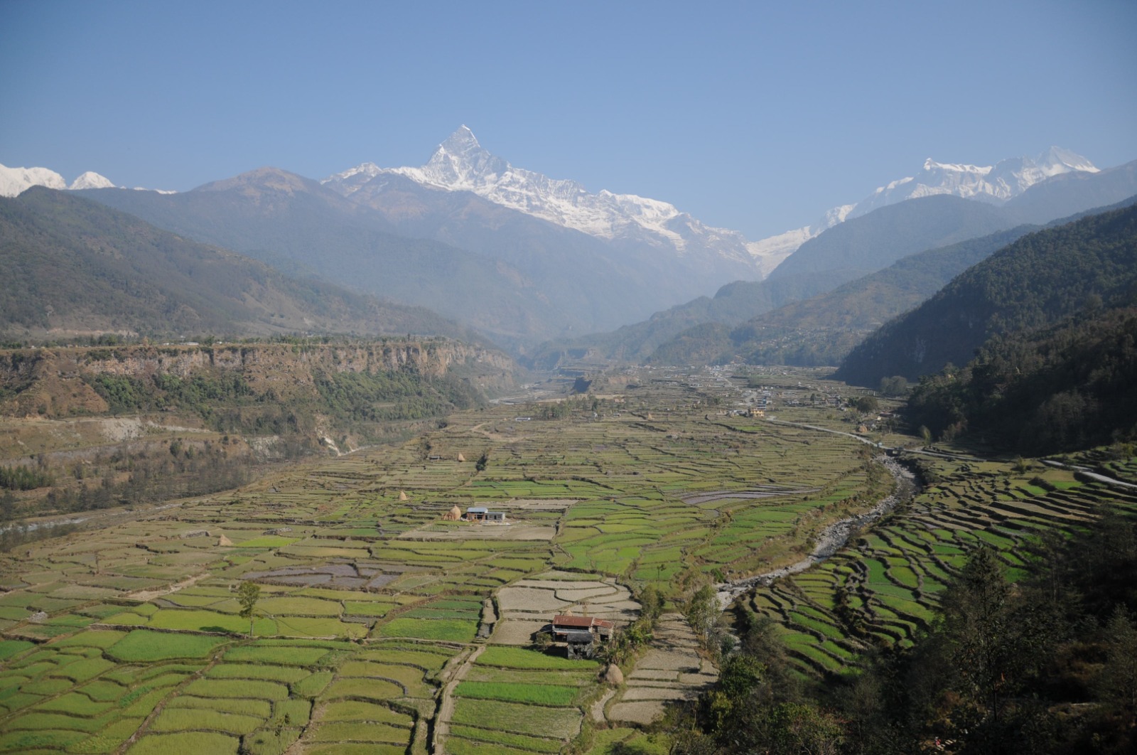 Himalayan landscape with terraced fields